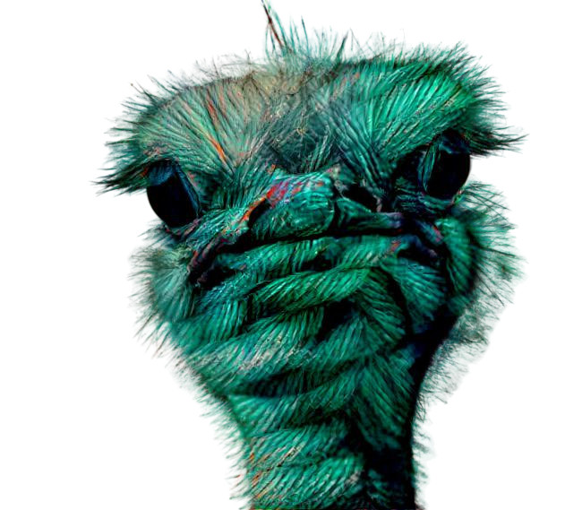 Ostrich