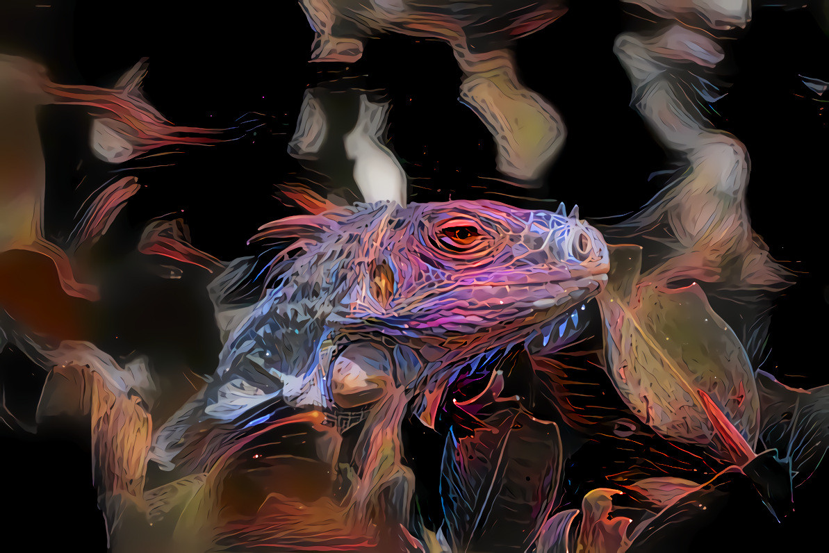 Verdi the Iguana