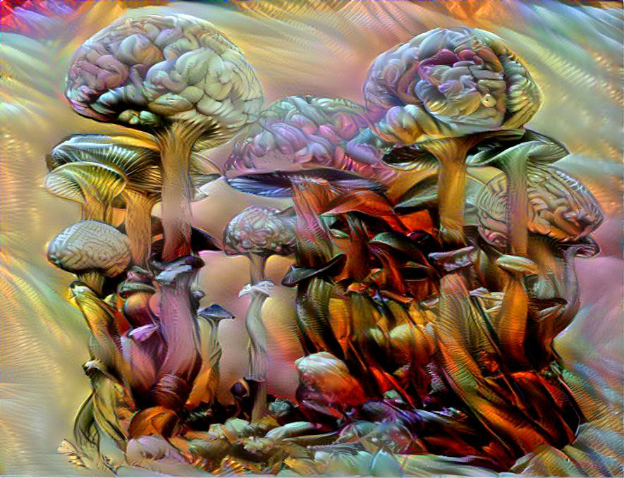 Magic mushrooms