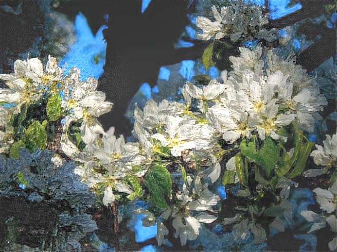 Apple Blossom Time