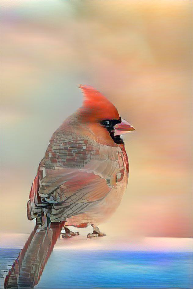 Cardinal 