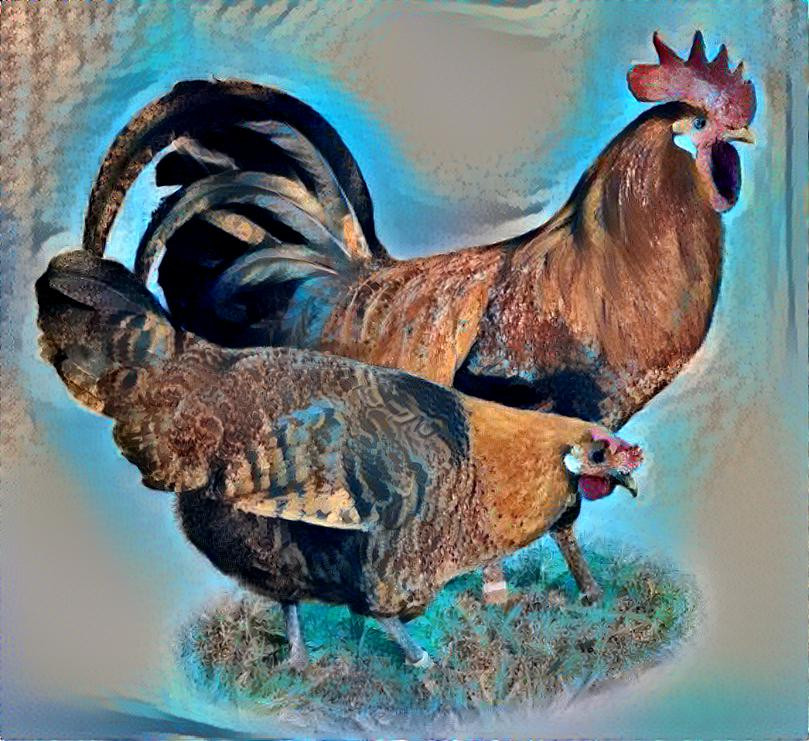 LSD Chickens 