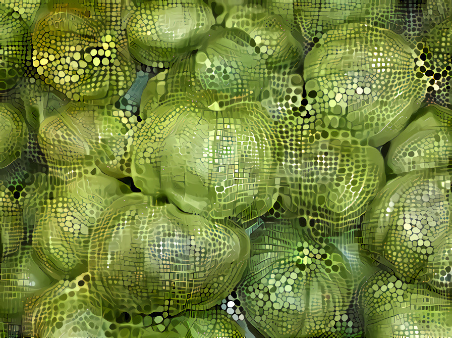 Tomatillos #3