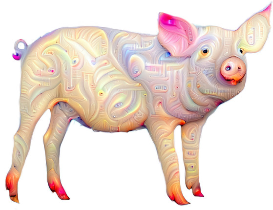 Pig