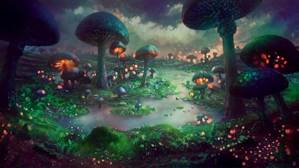 In the mushroom forest
