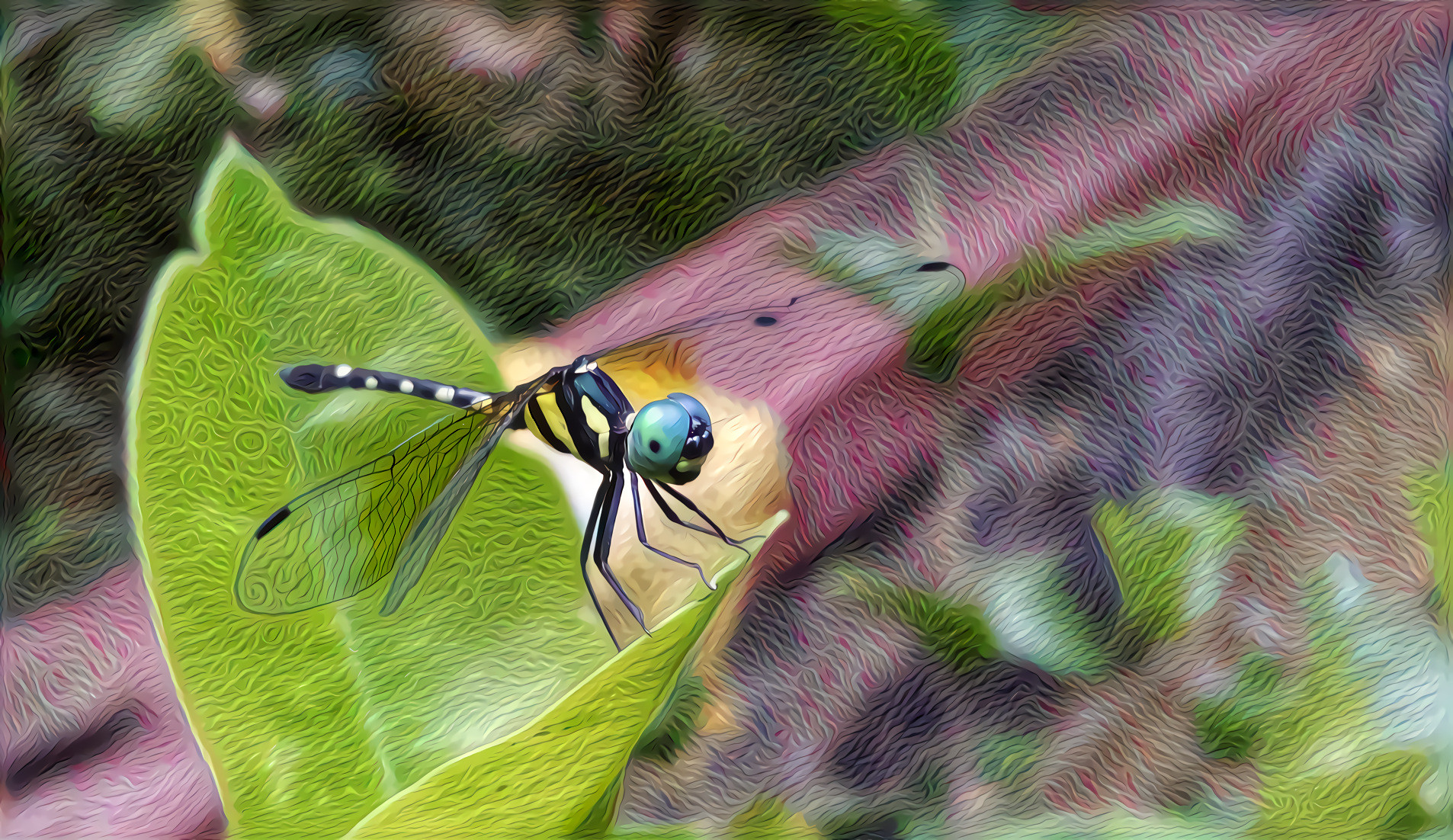 Dragonfly on a green leaf