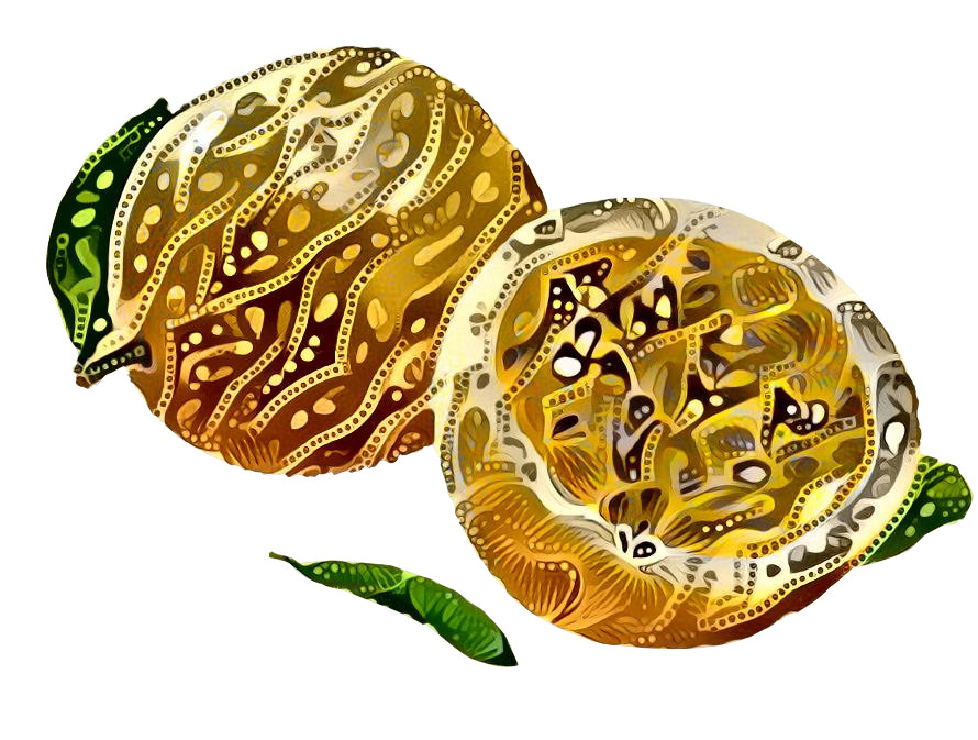 batik passion fruit png