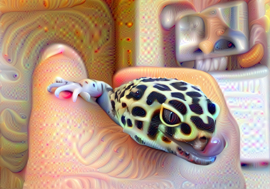 Deep Gecko