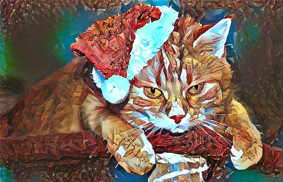 DG Xmas Pets challenge