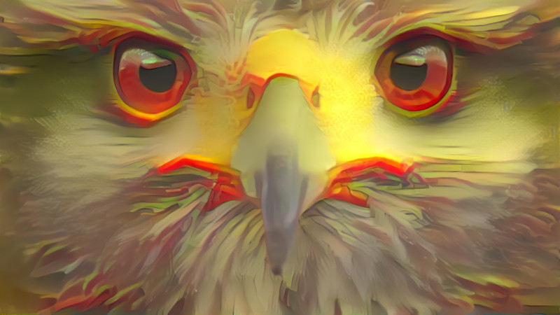 Deep Dream: Eagle