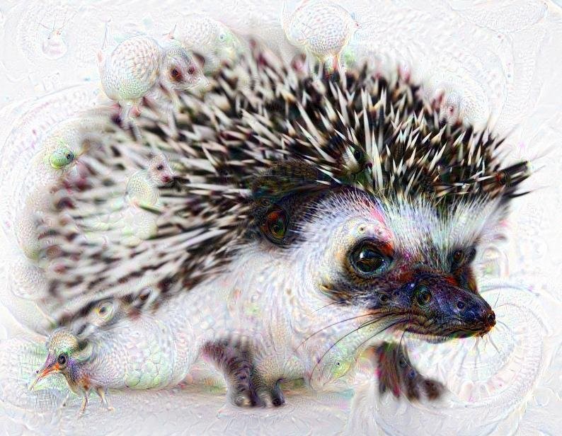 hedgehog