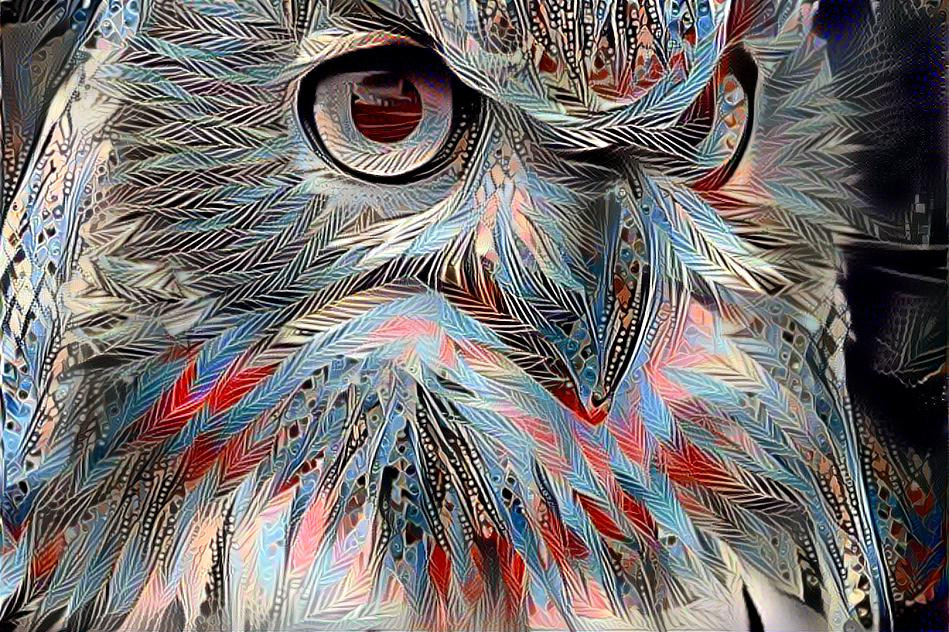 Owl