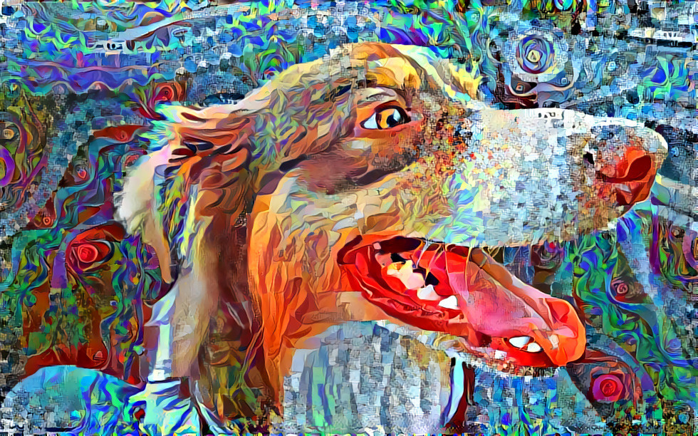 Doggo 13 underlaid overlaid 1 collage 132