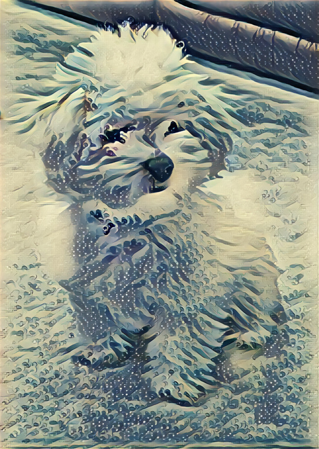 Snow Dog