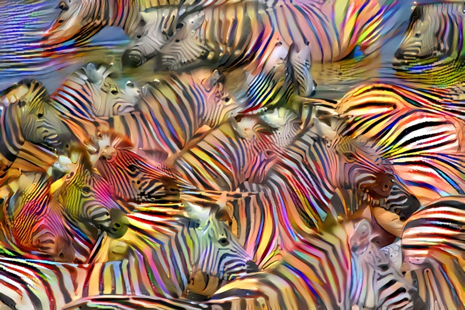 A Dazzle of Zebras!