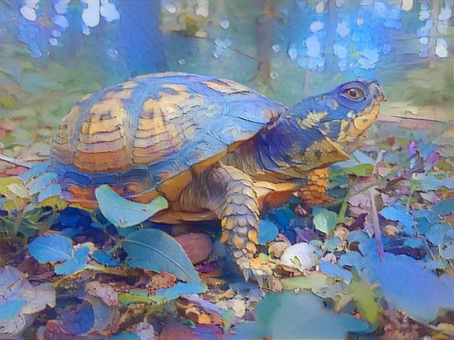 The Turtle of The Bare Forest