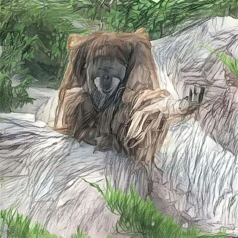 Orangutan 