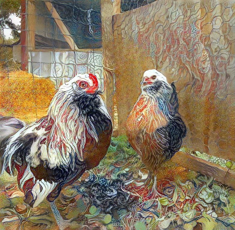 Chickens