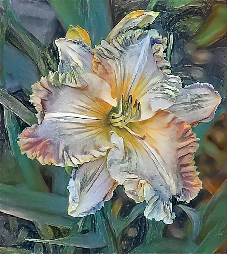 Daylily