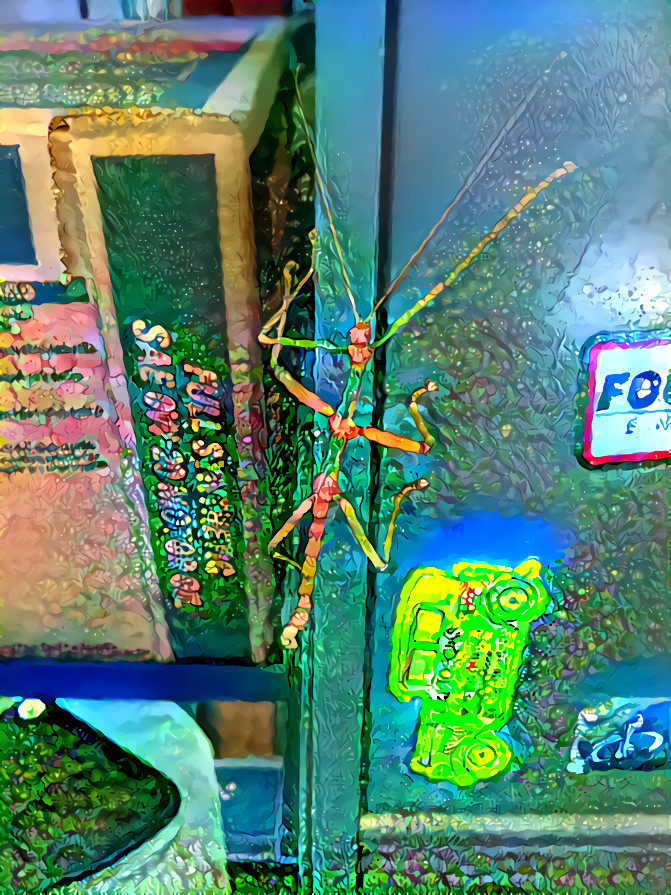 Stick Bugs Everywhere!