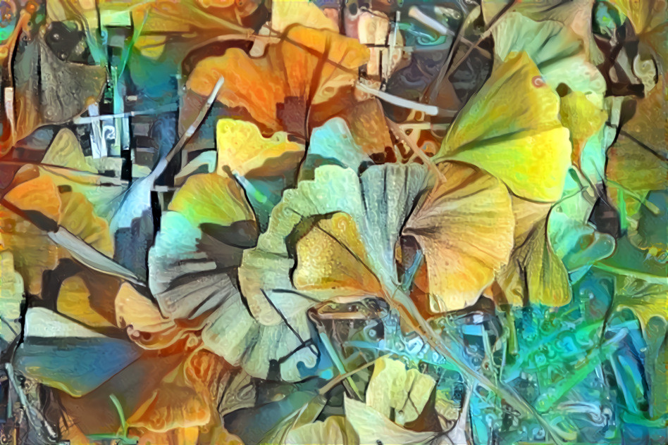 Ginkgo 