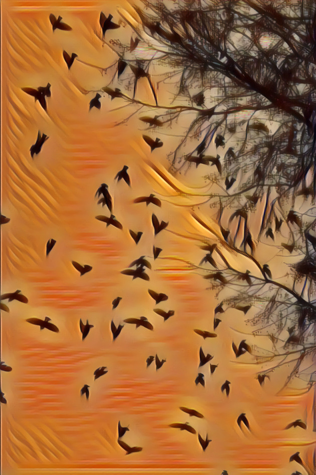 Bird flock 1