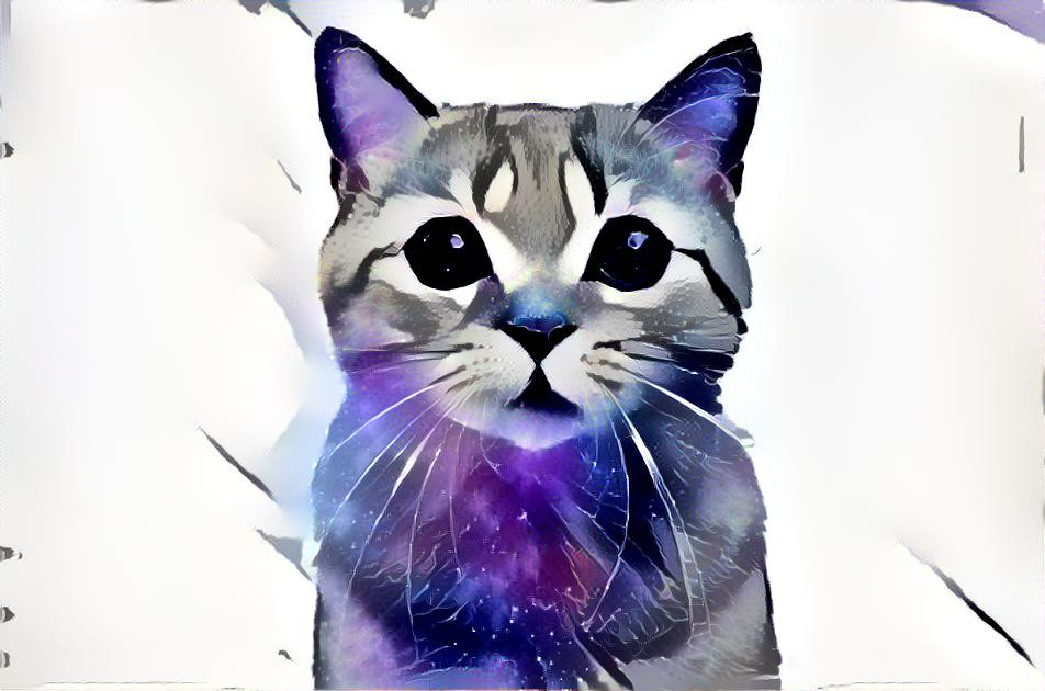 Galaxy cat