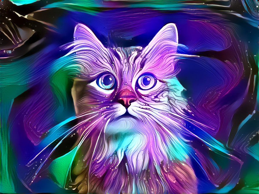 paint cat