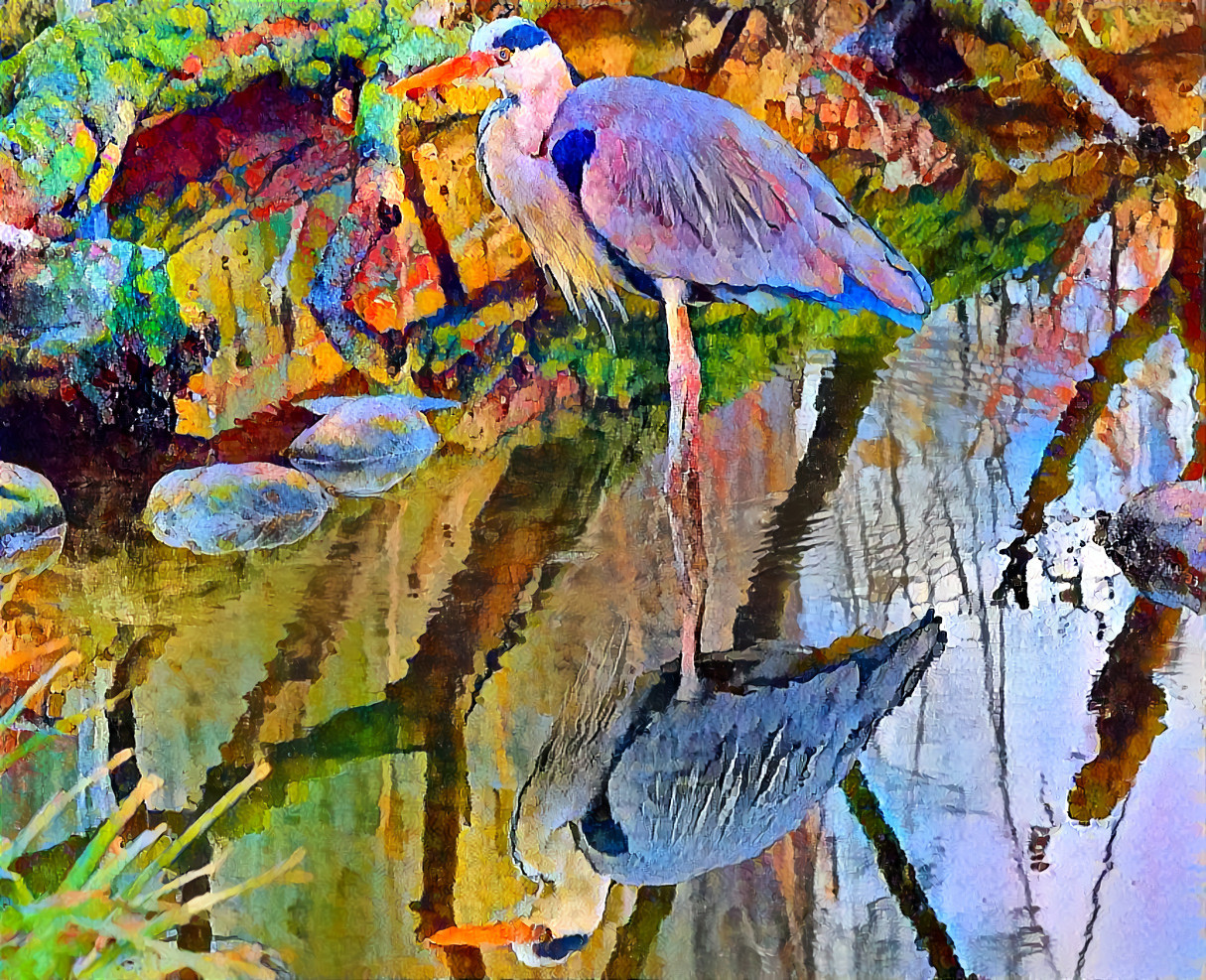 Heron Wading