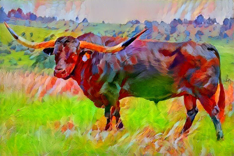 The longhorn