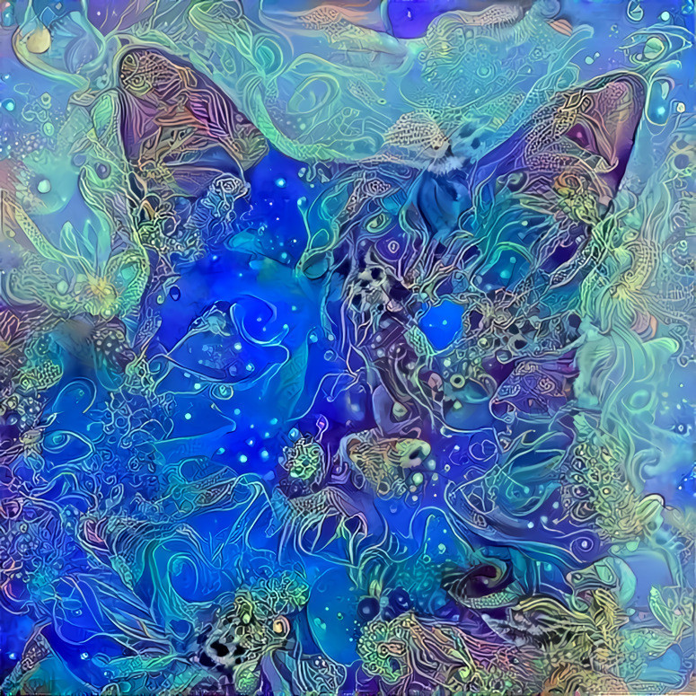 Mystical Cat