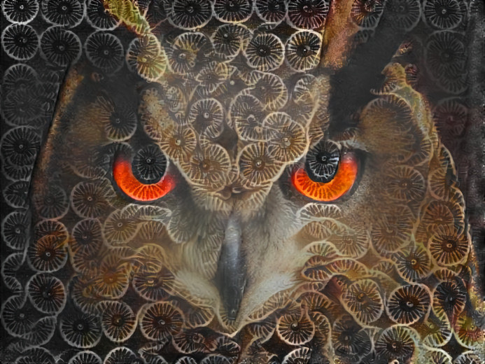 owl