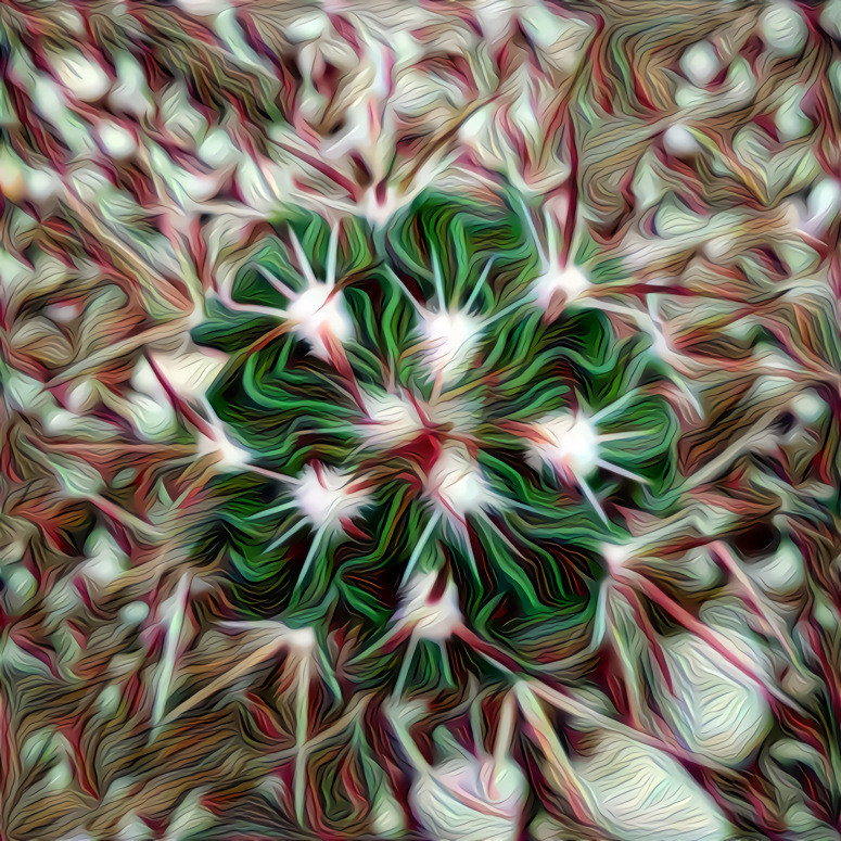 Cactus