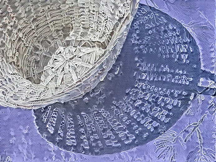 Basket of Lace - Photo D Berk