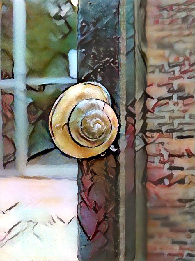 Snail