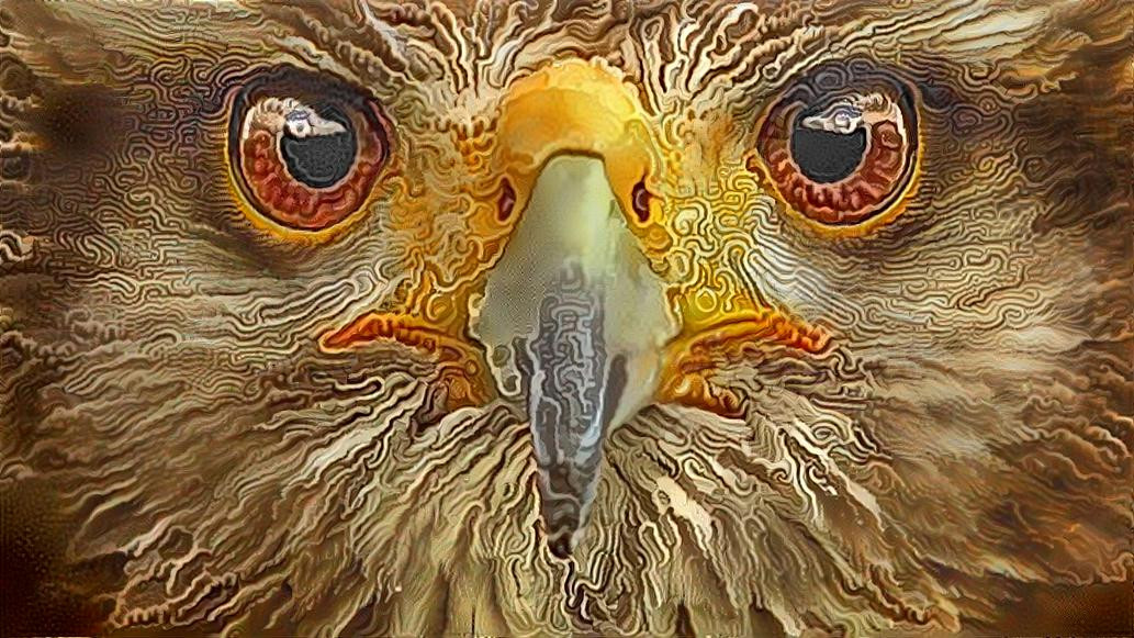 Deep Dream: Eagle (Ver.3)  