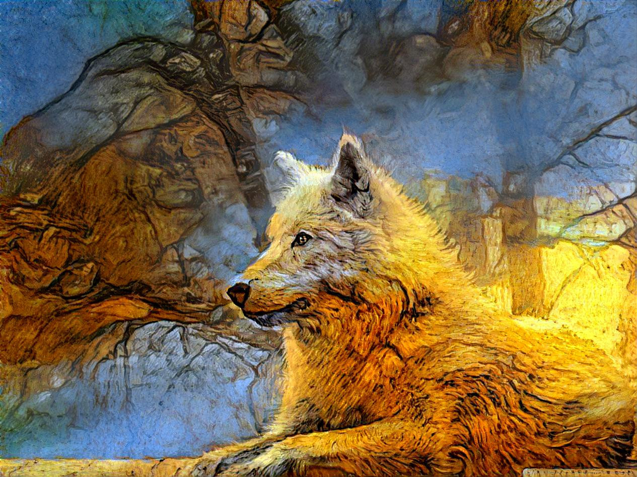 Golden Wolf