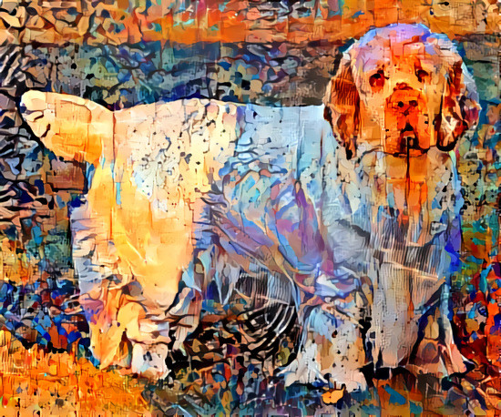 Clumber spaniel