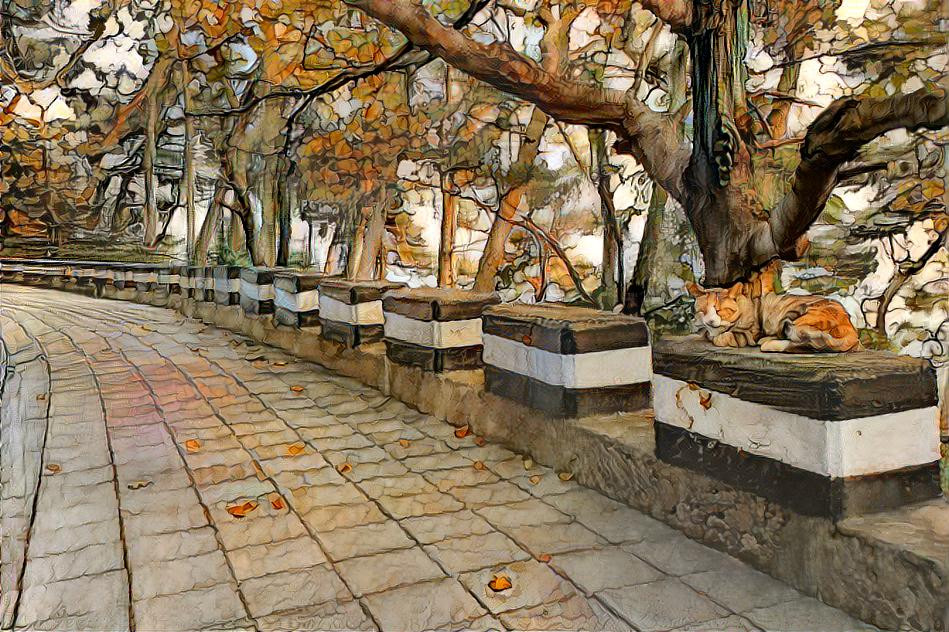 A cat perched on a seaside promenade, Busan(부산) Korea