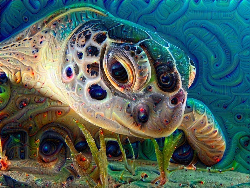 sea turtle