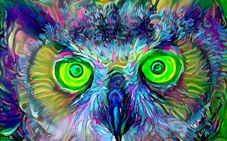 Owl