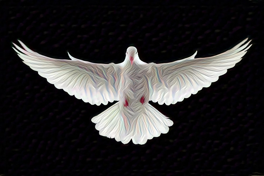 Wings of the Dove