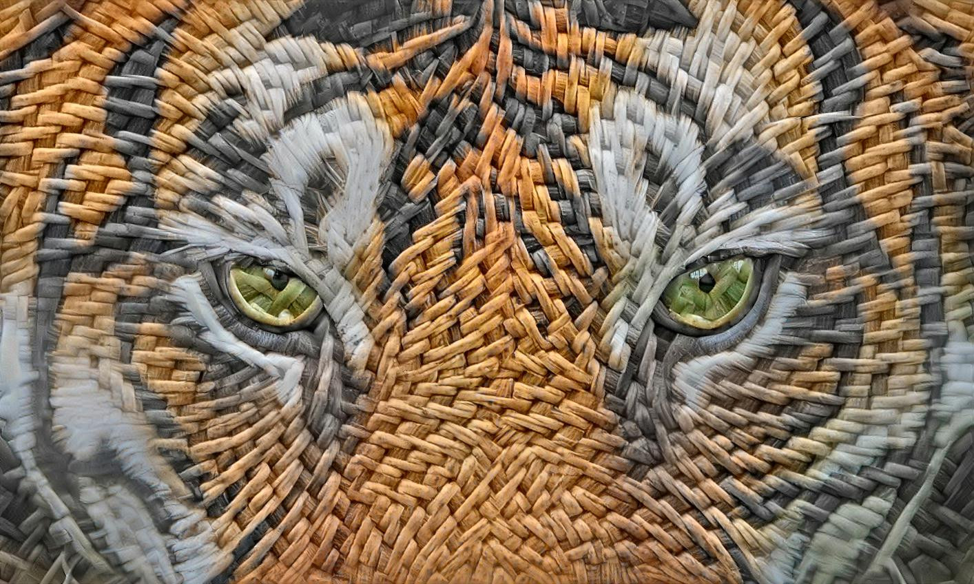 Woven Tiger