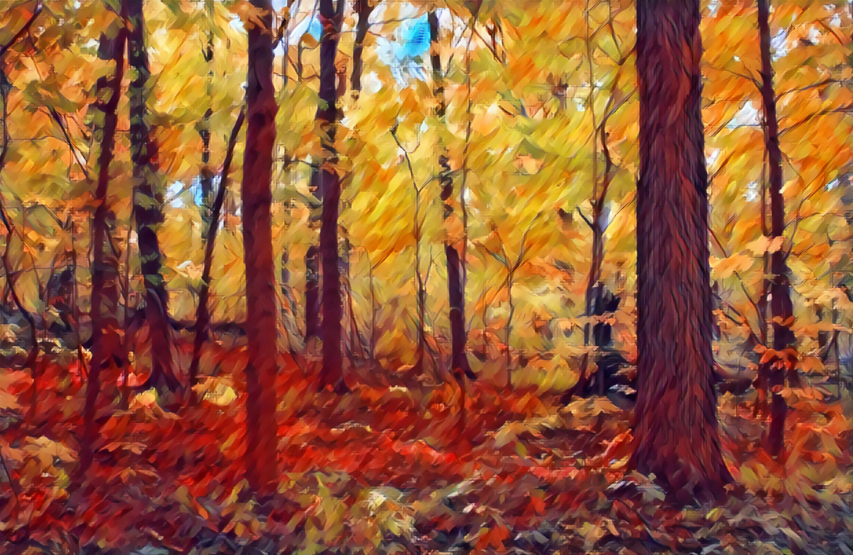 Impressionism - Maple Forest