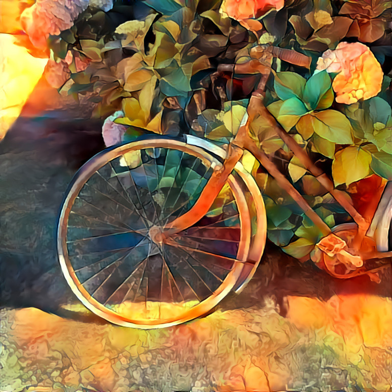 Bicycle at Rest 06.20 | MR D 100%