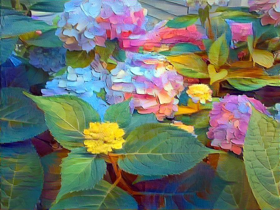 Hydrangea Mix