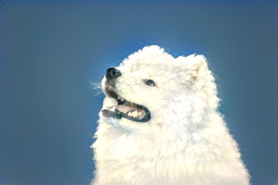 Cloud Dog