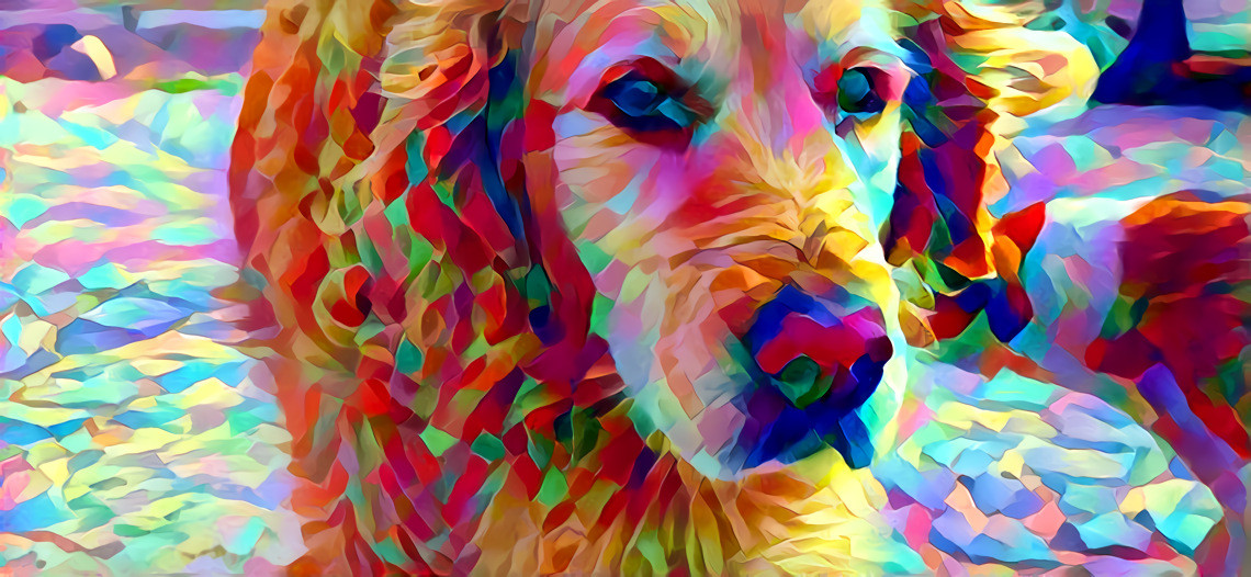 ColorDog