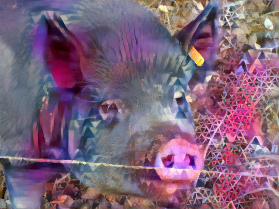 Digital Pig