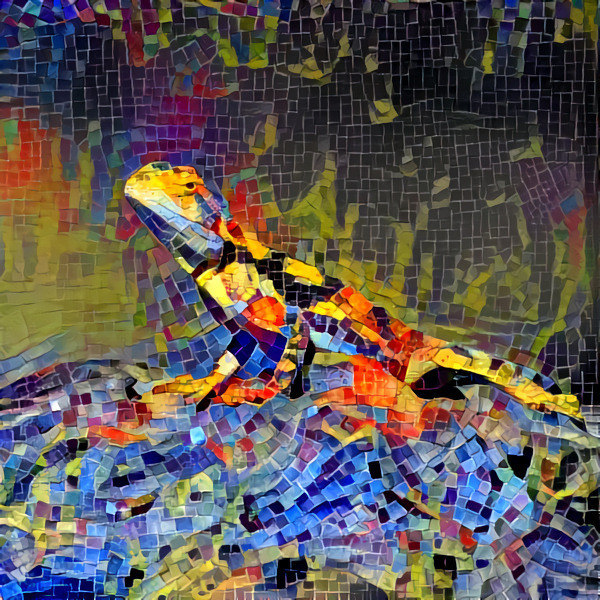 Agama lizard mosaic